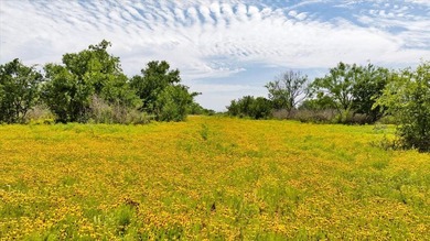 Red Lane Ranch is an excellent opportunity for cattle grazing - photo 49
