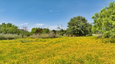 Red Lane Ranch is an excellent opportunity for cattle grazing - photo 50