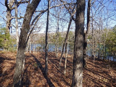 Lake Lot For Sale in Cherokee Village, Arkansas