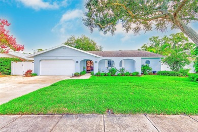 Keene Lake Home Sale Pending in Clearwater Florida