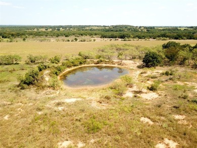(private lake, pond, coastal) Acreage For Sale in Comanche Texas