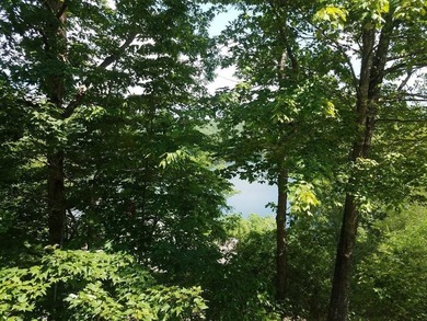 REDUCED BEST MTN VIEW with USFS Frontage Lot behind subdivision - photo 1