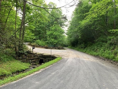 REDUCED BEST MTN VIEW with USFS Frontage Lot behind subdivision - photo 3