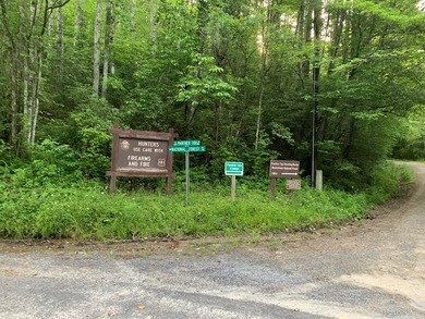 REDUCED BEST MTN VIEW with USFS Frontage Lot behind subdivision - photo 4
