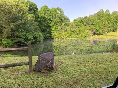 REDUCED BEST MTN VIEW with USFS Frontage Lot behind subdivision - photo 5