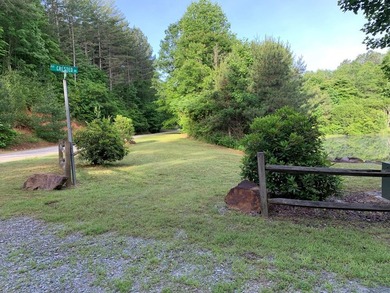 REDUCED BEST MTN VIEW with USFS Frontage Lot behind subdivision - photo 6