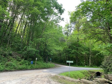 REDUCED BEST MTN VIEW with USFS Frontage Lot behind subdivision - photo 7