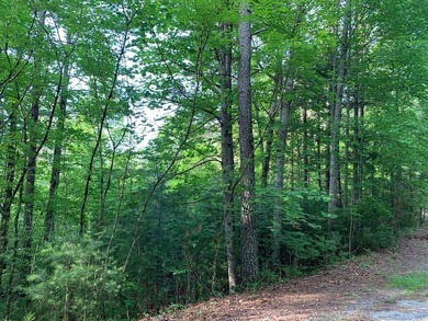 REDUCED BEST MTN VIEW with USFS Frontage Lot behind subdivision - photo 8