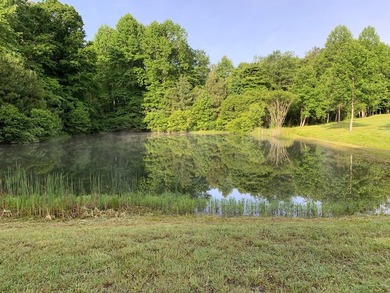 REDUCED BEST MTN VIEW with USFS Frontage Lot behind subdivision - photo 9
