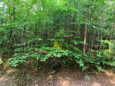 REDUCED BEST MTN VIEW with USFS Frontage Lot behind subdivision - photo 10