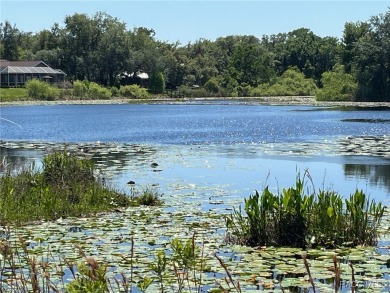 Lake Lot Sale Pending in Inverness, Florida