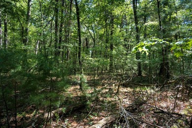 Come take a look at this 1 acre parcel with deeded access to - photo 11