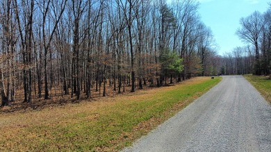 Lake Frontage! Come build your dream home on this 2.23 acre - photo 2