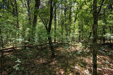 Come take a look at this 1 acre parcel with deeded access to - photo 13