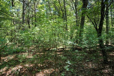 Come take a look at this 1 acre parcel with deeded access to - photo 14