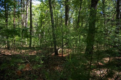 Come take a look at this 1 acre parcel with deeded access to - photo 15