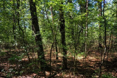 Come take a look at this 1 acre parcel with deeded access to - photo 16
