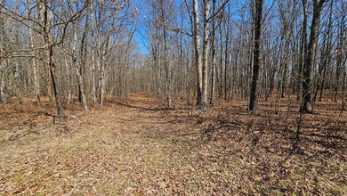Lake Frontage! Come build your dream home on this 2.23 acre - photo 6