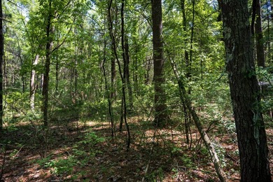 Come take a look at this 1 acre parcel with deeded access to - photo 17