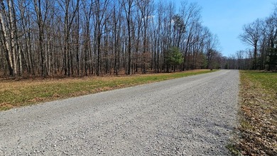 Lake Frontage! Come build your dream home on this 2.23 acre - photo 7