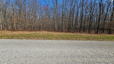 Lake Frontage! Come build your dream home on this 2.23 acre - photo 8