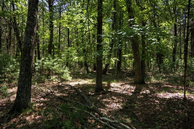 Come take a look at this 1 acre parcel with deeded access to - photo 19