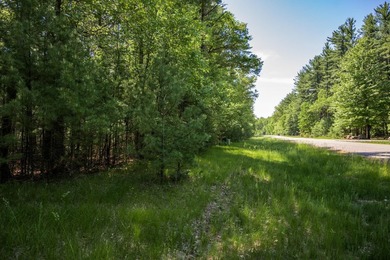Come take a look at this 1 acre parcel with deeded access to - photo 20