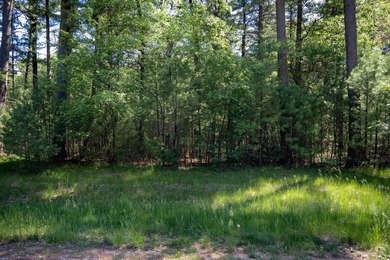 Come take a look at this 1 acre parcel with deeded access to - photo 21