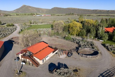 Rancho Silver Creek: Rarely available, 20+ acres with superior - photo 33