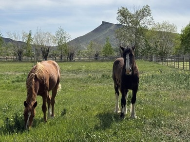 Rancho Silver Creek: Rarely available, 20+ acres with superior - photo 42