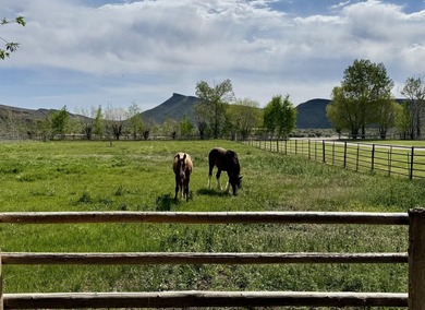 Rancho Silver Creek: Rarely available, 20+ acres with superior - photo 43