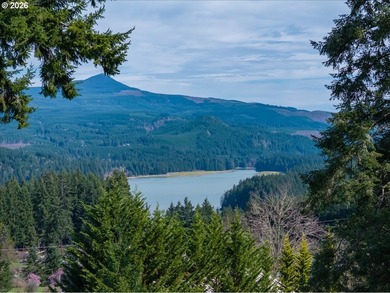 FOSTER LAKE VIEW opportunity! 50x70 RV Sized shop with 3 - 14x14 - photo 7