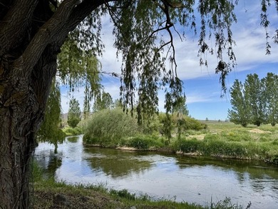 Rancho Silver Creek: Rarely available, 20+ acres with superior - photo 48