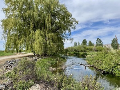 Rancho Silver Creek: Rarely available, 20+ acres with superior - photo 50