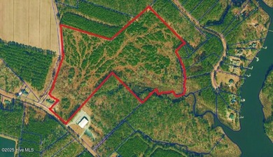 Neuse River Acreage For Sale in Oriental North Carolina