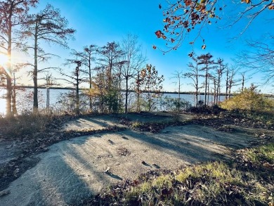 Lake Lot For Sale in Woodville, Mississippi