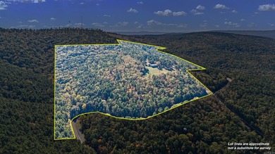 Hidden behind an iron gate, this 93+/- acre luxury estate offers - photo 5