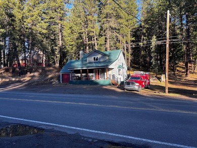 Payette Lake Commercial For Sale in Mccall Idaho