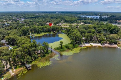 (private lake, pond, creek) Home For Sale in Lutz Florida