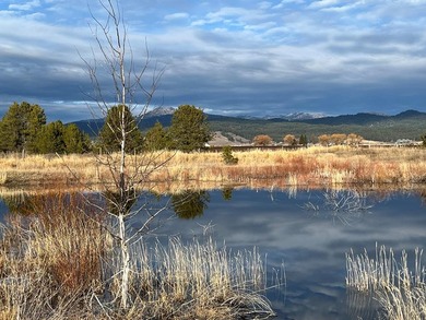 Lake Cascade  Acreage For Sale in Donnelly Idaho