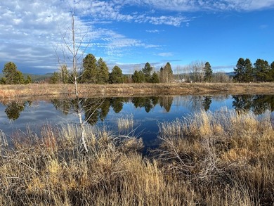 HIGHWAY 55 FRONTAGE! 31 acres prime development potential - photo 3
