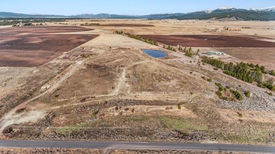 HIGHWAY 55 FRONTAGE! 31 acres prime development potential - photo 4