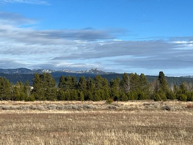 HIGHWAY 55 FRONTAGE! 31 acres prime development potential - photo 5