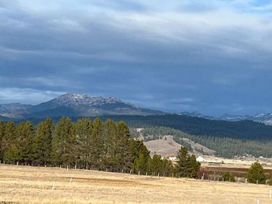 HIGHWAY 55 FRONTAGE! 31 acres prime development potential - photo 6