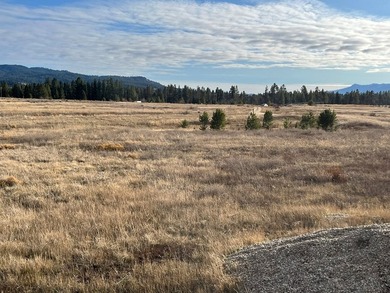 HIGHWAY 55 FRONTAGE! 31 acres prime development potential - photo 7