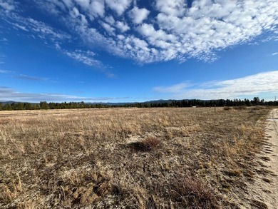 HIGHWAY 55 FRONTAGE! 31 acres prime development potential - photo 8