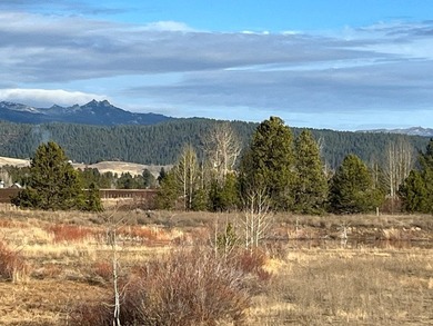 HIGHWAY 55 FRONTAGE! 31 acres prime development potential - photo 9