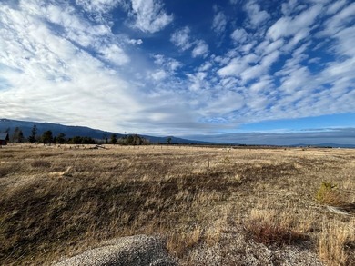 HIGHWAY 55 FRONTAGE! 31 acres prime development potential - photo 10