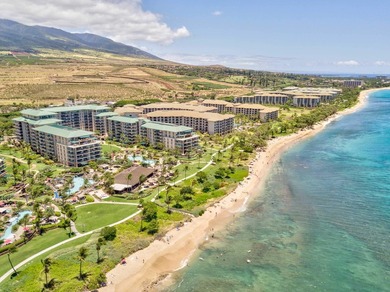 Hokulani 547 - Welcome to your dream beachfront luxury - photo 36