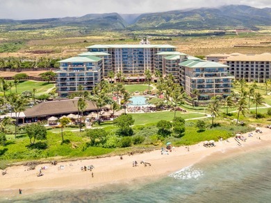 Hokulani 547 - Welcome to your dream beachfront luxury - photo 37